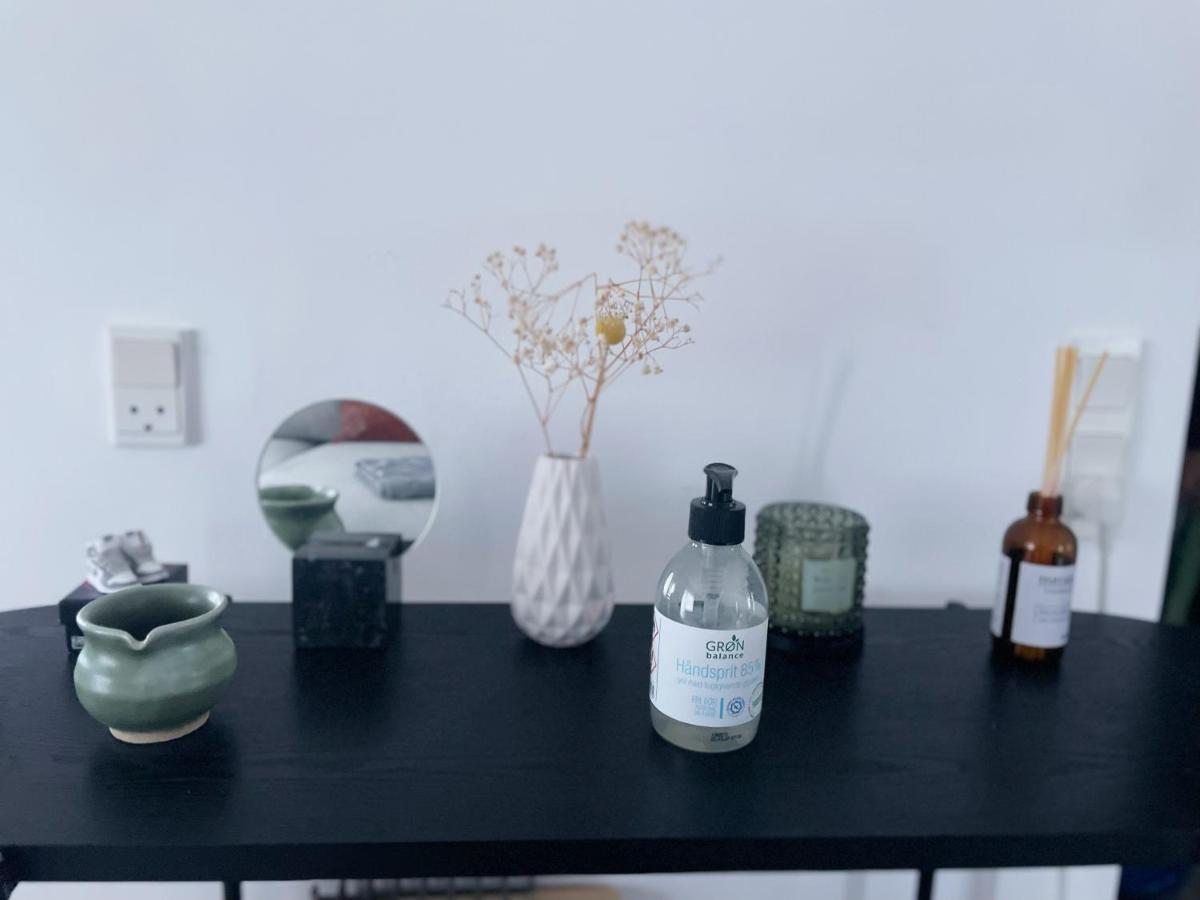 An Cosy Apartment Near Cph Airport كوبنهاجن المظهر الخارجي الصورة